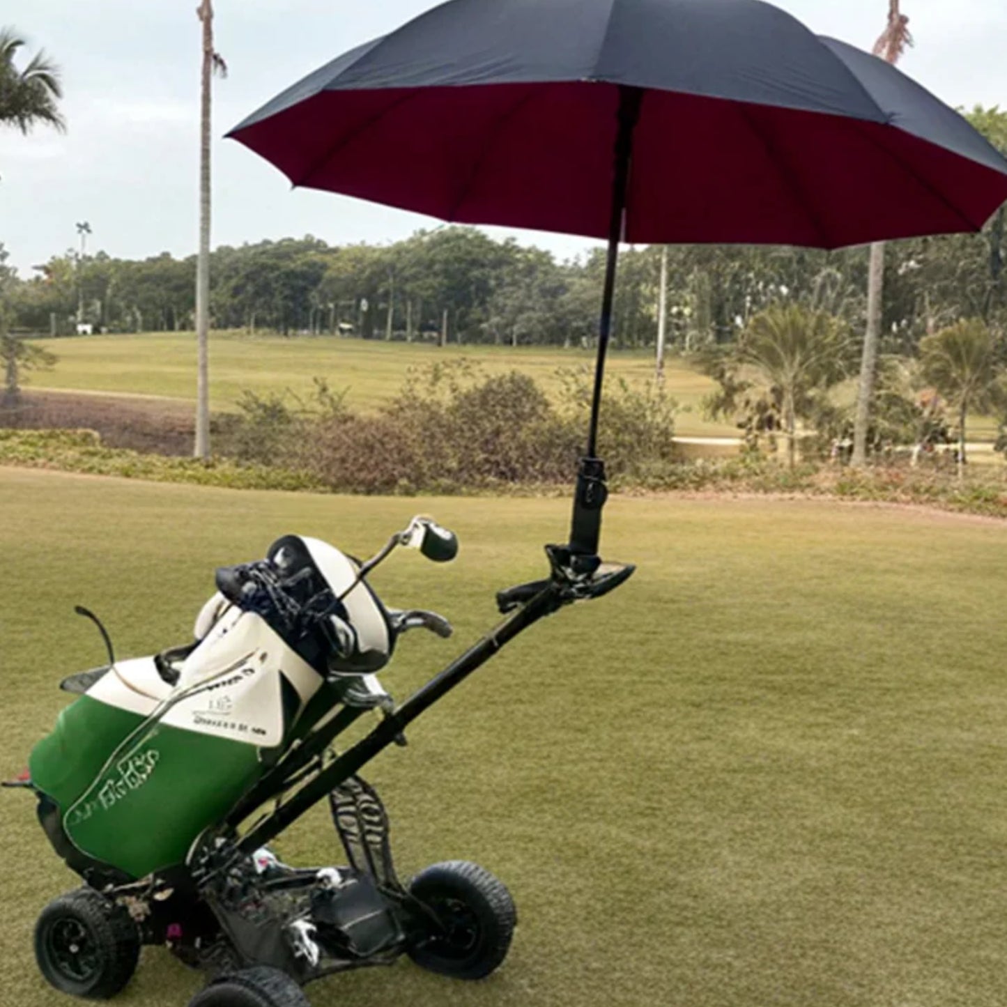 GolfBoard Li-ion scooter eléctrico
