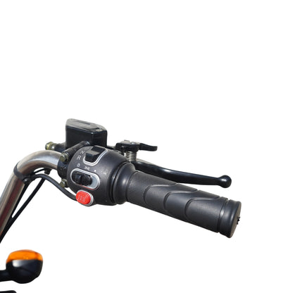 Cargo T425 45 Ah triciclo eléctrico