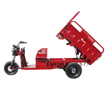 Cargo T425 45 Ah triciclo eléctrico