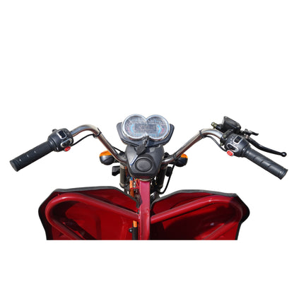 Cargo T425 45 Ah triciclo eléctrico